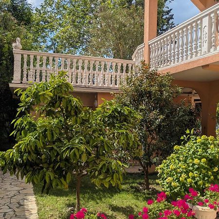 Apartments Montenegrina Ulcinj Zewnętrze zdjęcie