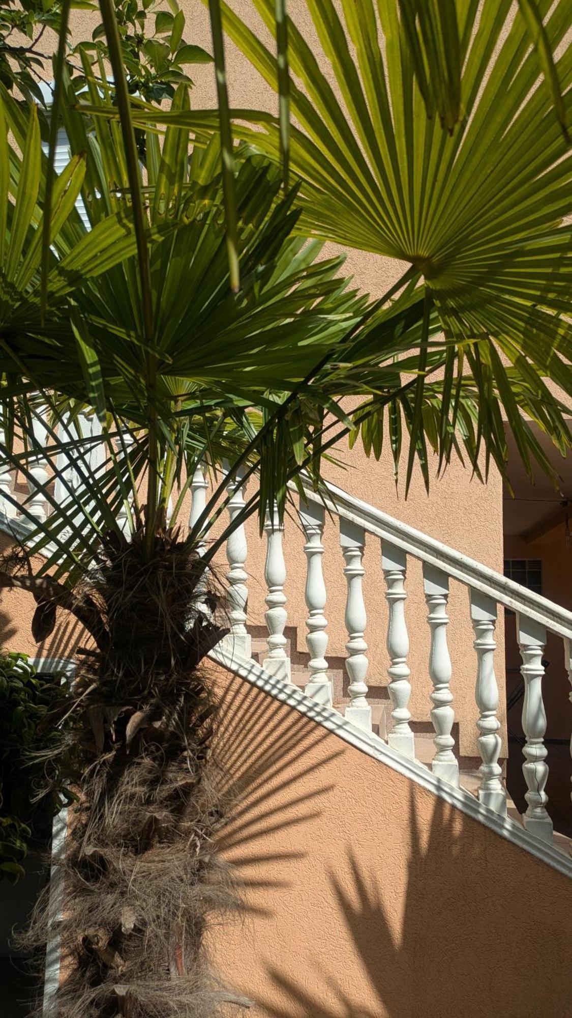 Apartments Montenegrina Ulcinj Zewnętrze zdjęcie